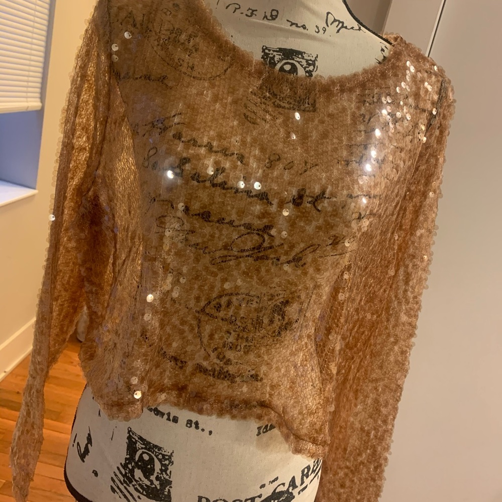 Zara Sequins crop Top